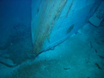 Stem of bow